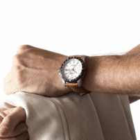 Pánske hodinky FESTINA 20699/1