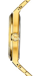 Pánske hodinky FESTINA 20038/2